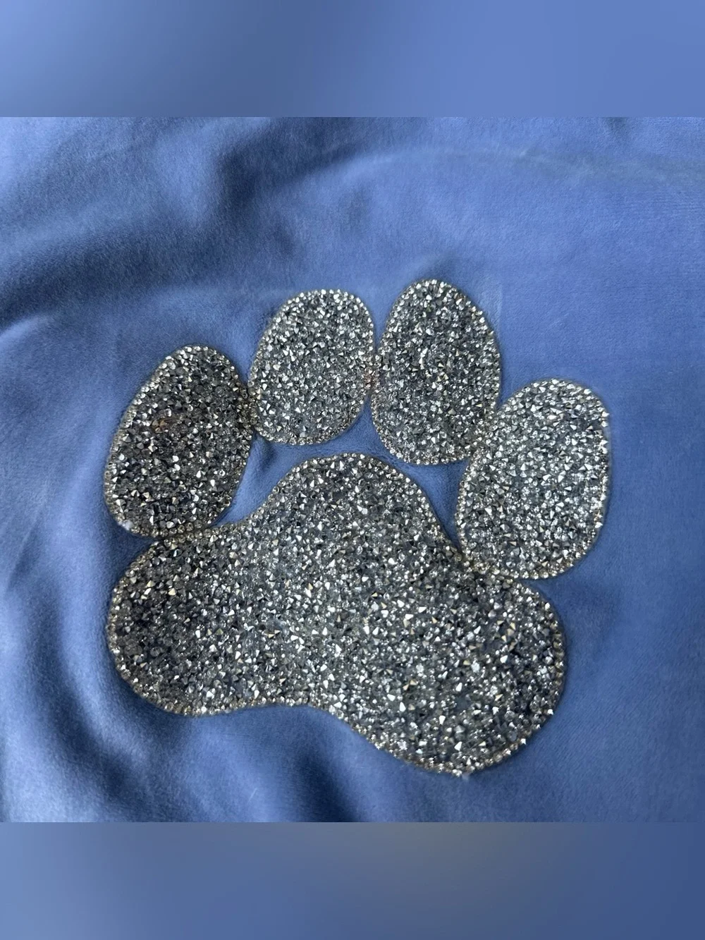 Isaac Mizrahi Light Blue Dog Hoodie with Silver Paw